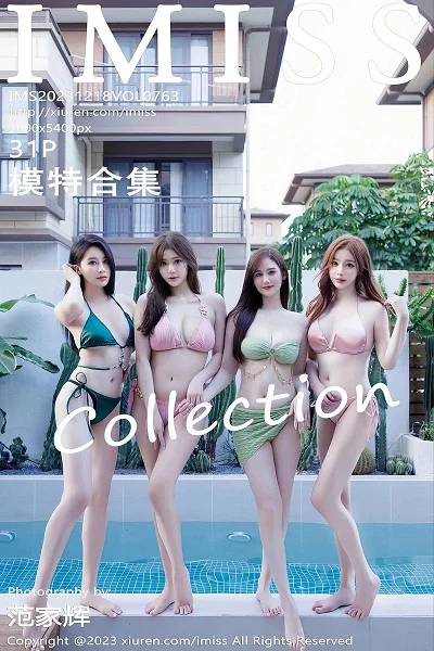 Collection of Models No. 763